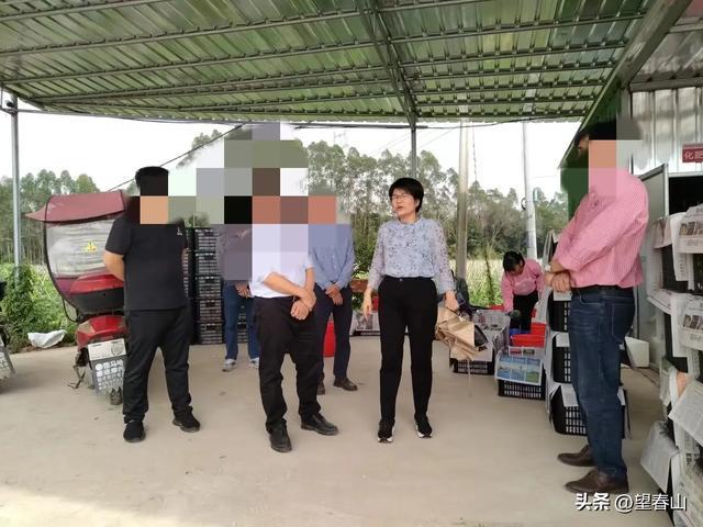 广东茂名市政府副秘书长投案背后的故事与反思