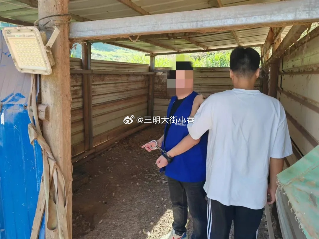 疯狂偷鸡18次引发盗窃案，两人因此获刑