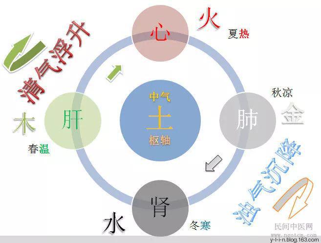 中医阴阳五行理论在养生中的实践应用