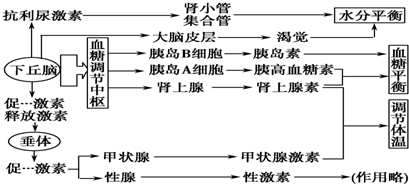 中医调节内分泌系统平衡的方法与策略