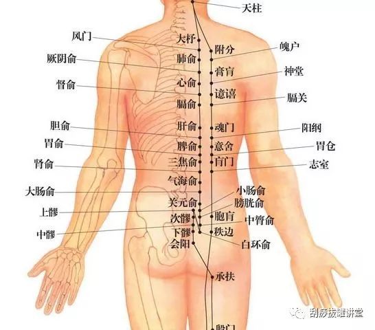 传统中医刮痧对健康功效的深度解析