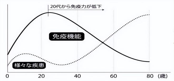 高血压患者的日常饮食与运动指南