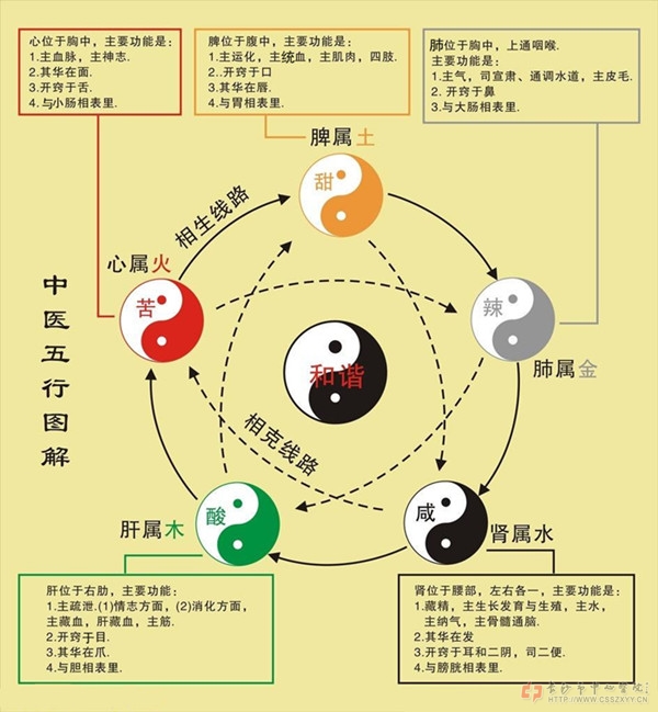 传统中医四时调养智慧与实践探索