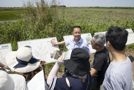 共享经济模式对环境的影响分析，双刃剑效应观察