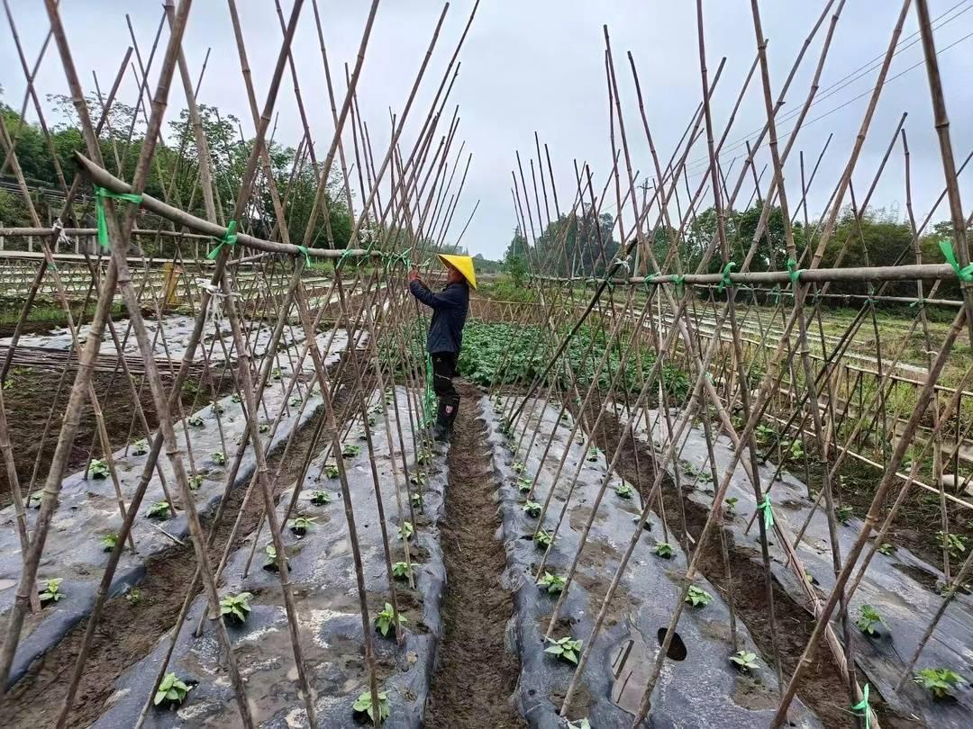 共享经济优化企业成本结构的策略与路径分析