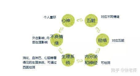 正向情绪助力身体健康提升之道