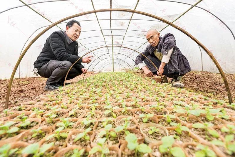 模拟家庭场景游戏对提升生活技能的培养效果分析