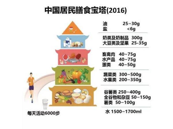 精准饮食助力运动表现与恢复提升