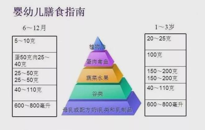 户外运动探索对儿童健康成长的重要性分析