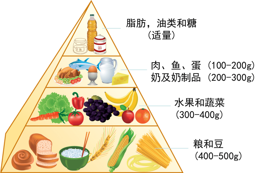 吃素饮食与血糖控制的关联探究