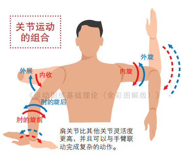 健康体重与长期身体机能平衡的研究探索