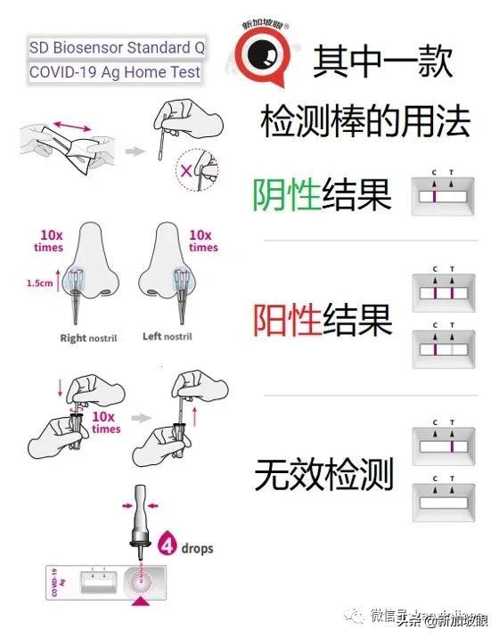 心理适应能力与免疫力的紧密关联，心理韧性对身体健康的影响