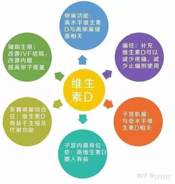 维生素D补充与提高免疫力，潜在益处探讨