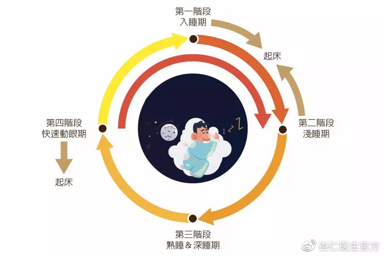 高质量睡眠对大脑功能的长远影响研究揭秘