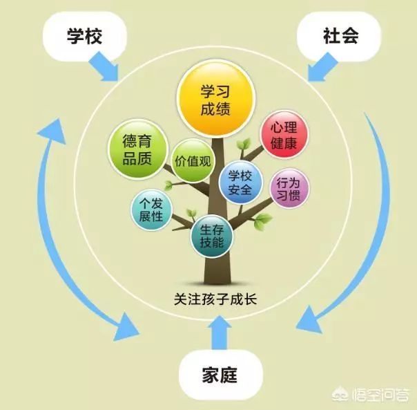 家长教育与学生情感纽带的建立，构建亲子桥梁的重要性与策略