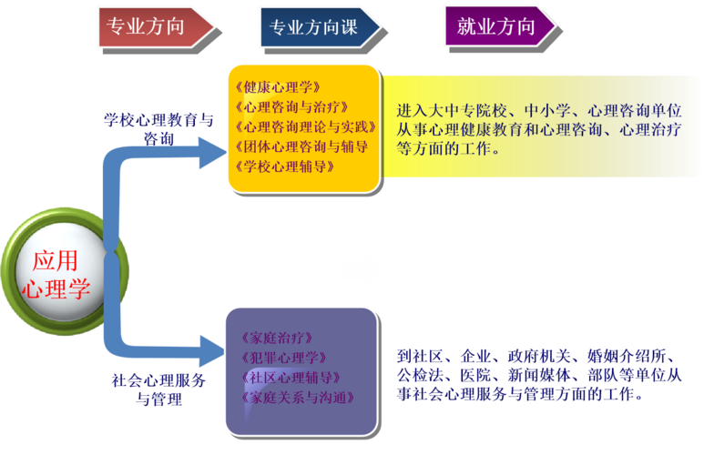 心理学原理在教育中的应用与实践