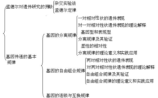 新澳门一码中中特,理论研究解析说明_S92.939