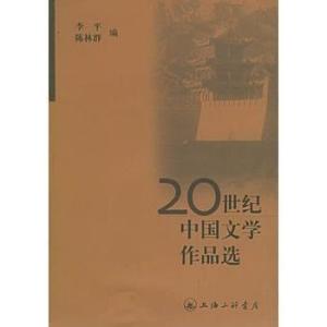 文学作品中的社会镜像与个体情感交织，镜像的情感表达与社会的情感镜像探究