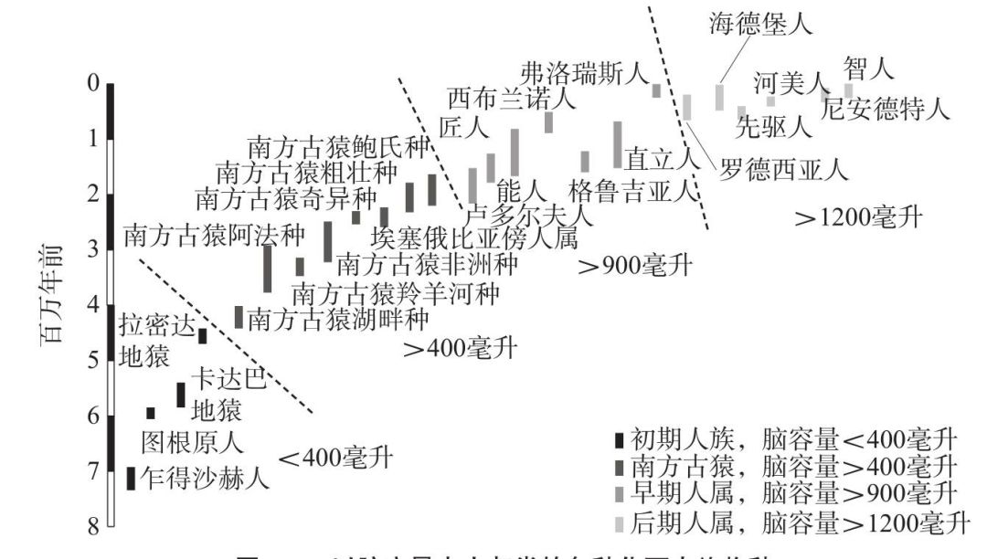 人类学视角下的祭祀活动与社会结构关系探究