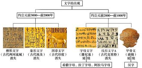 不同文明文字系统对社会发展的深远影响