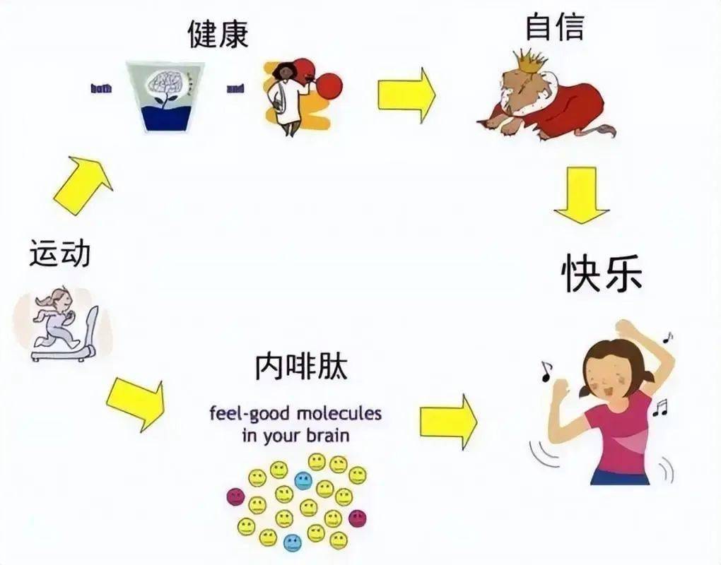 身体活动量对血脂和血糖水平的影响研究