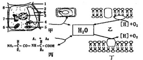 艳新 第4页