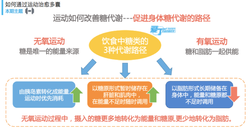 日常小运动对代谢的积极影响