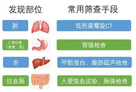 禁烟与降低肺癌风险的紧密关联