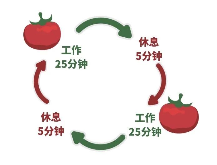 身体调节与工作效率的提升，潜在关联的探讨