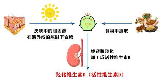 惜文 第3页