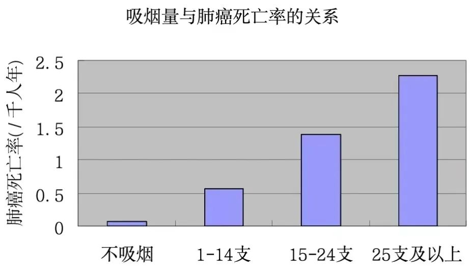 吸烟对肺部健康的影响研究，揭示直接联系