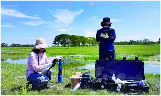 高原植被生态恢复的重大科学突破与研究成果