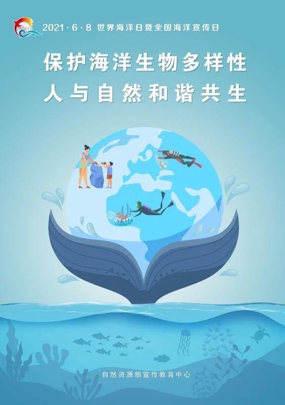 全球海洋生物多样性保护议程，共同应对挑战与未来展望