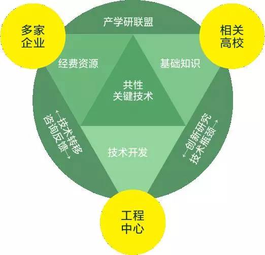 2024年12月16日 第5页