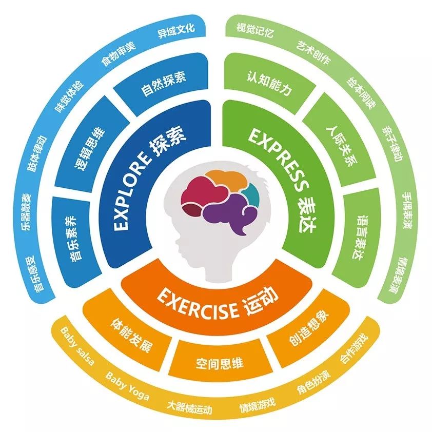 知识整合与学生跨学科能力的培育之道