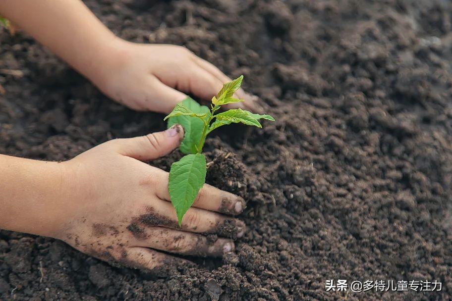 日常活动如何提升孩子的观察力培养