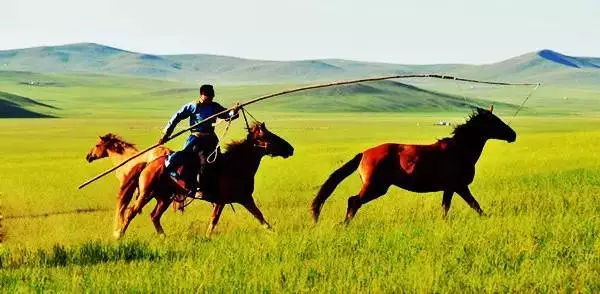 草原深度游，牧民生活体验之旅