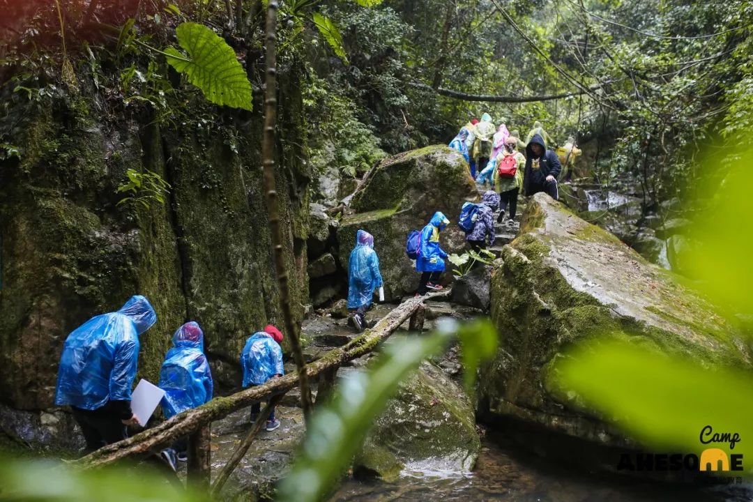 峡谷探险，挑战与魅力的自然之旅