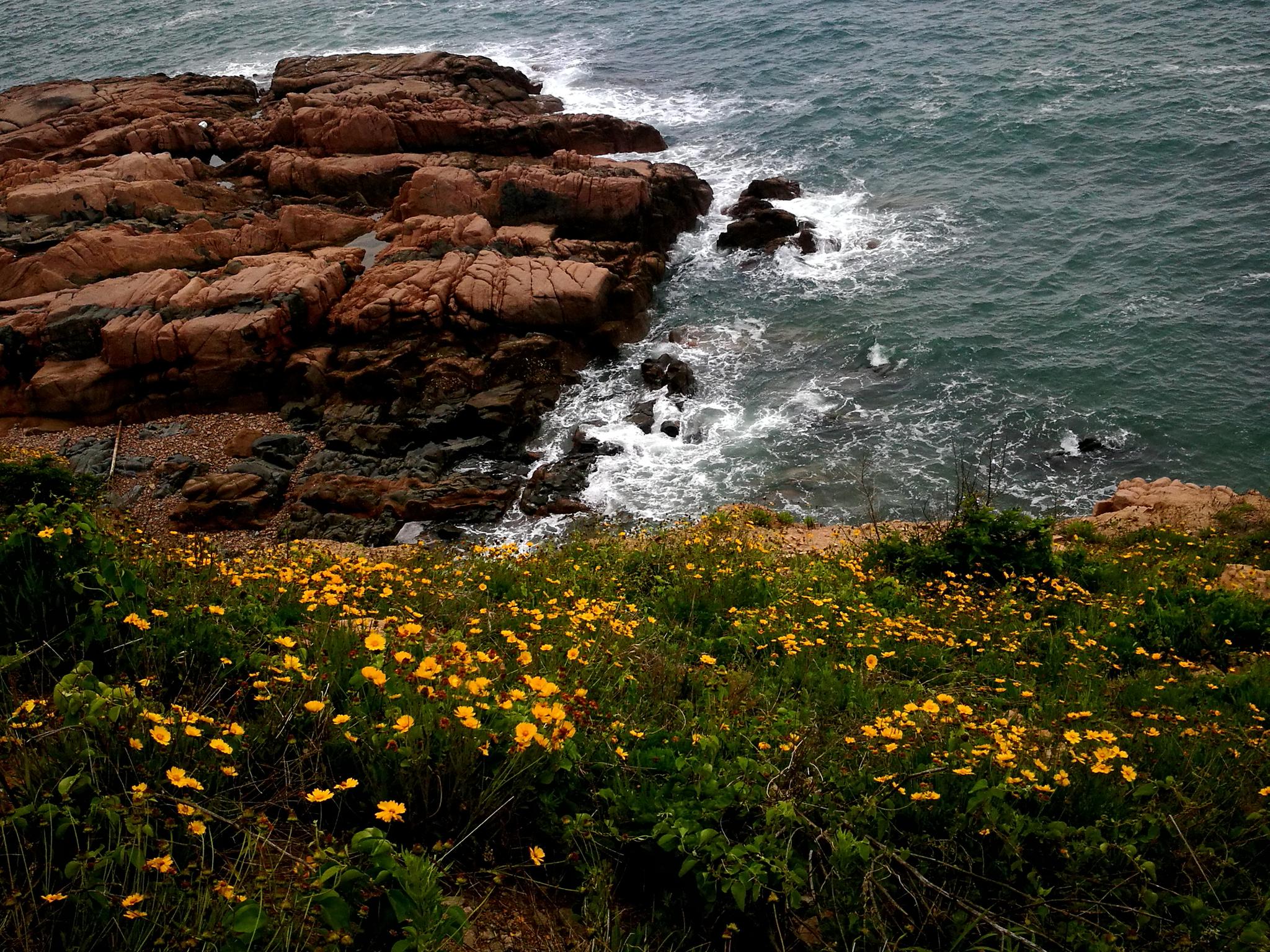 沿海漫步，领略海岸线无尽风光