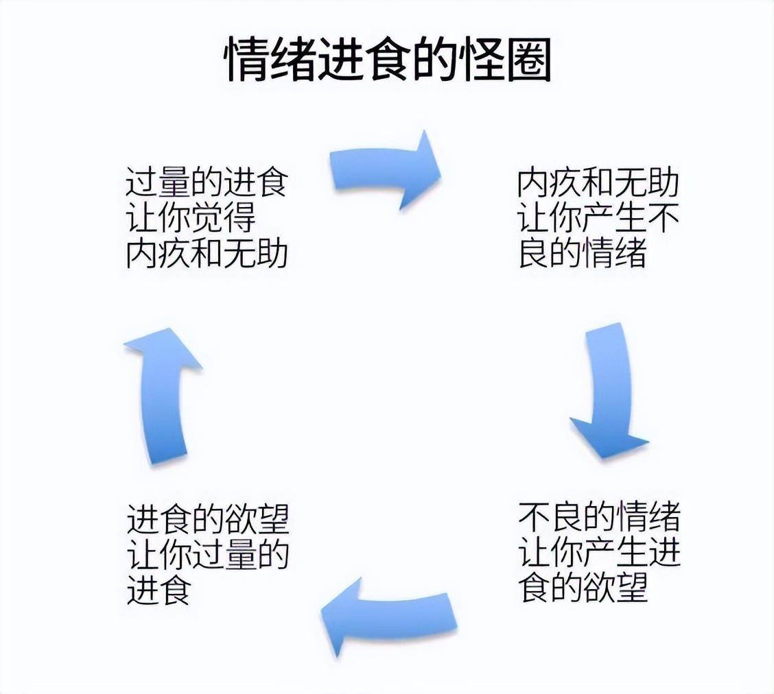 食物与情感，心理深处的纽带与影响