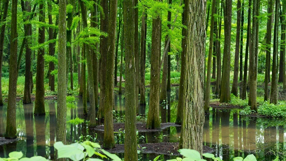 原生态食材之旅，自然滋养的享受