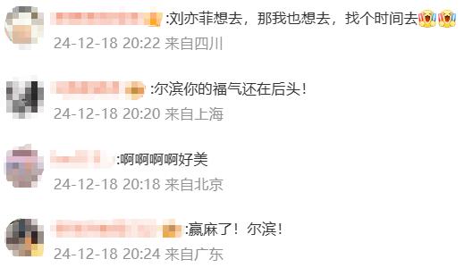 哈尔滨文旅致敬刘亦菲，冰城文化与女神魅力的完美交融