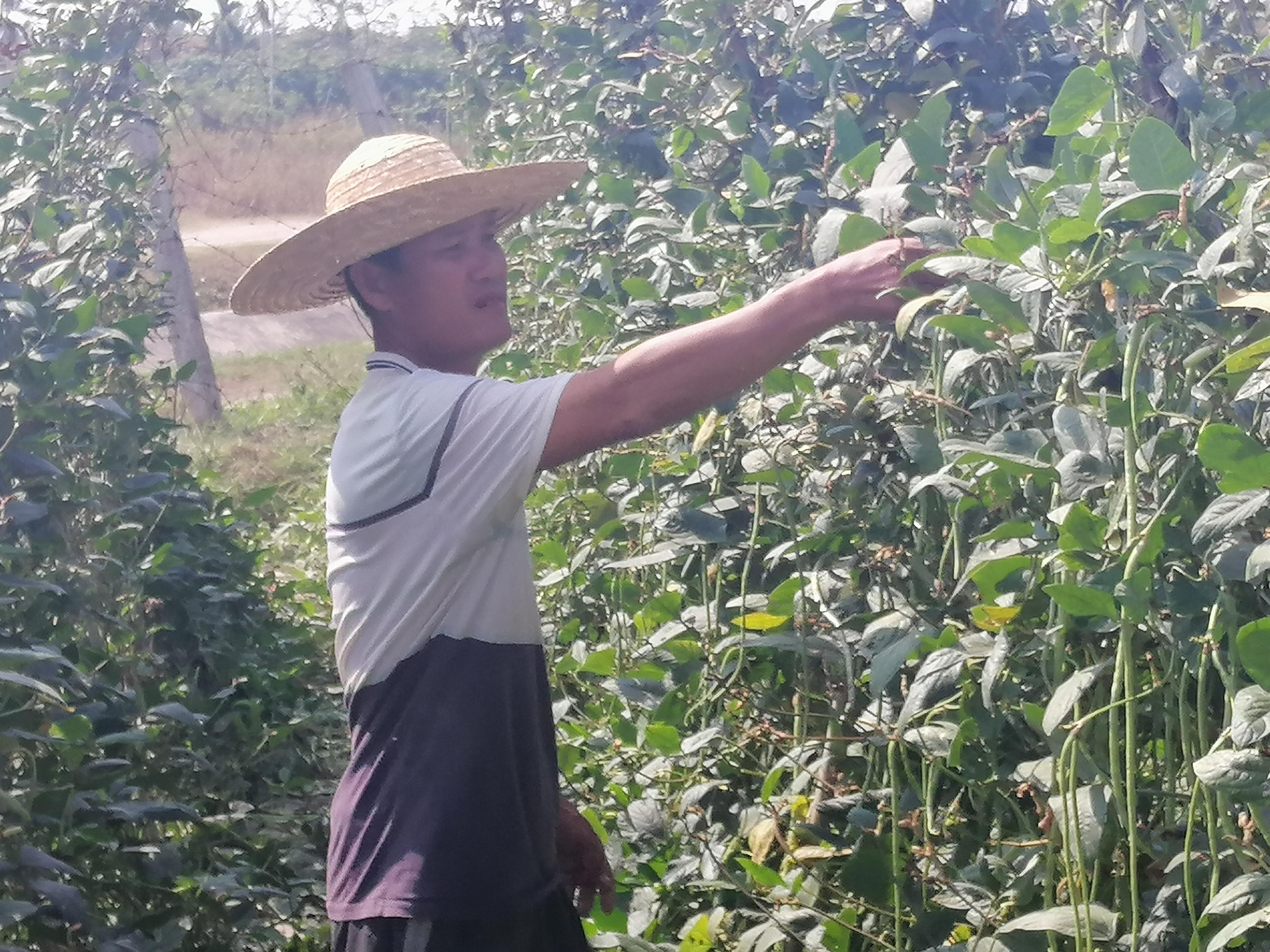 存量房收购项目落地，影响深远，未来值得期待