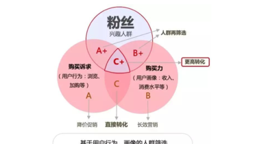 内容共创模式与粉丝文化的深度关联