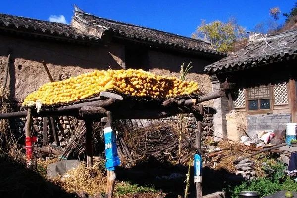 穿越千年文化之旅，探寻古老山区村庄的传统手艺之旅