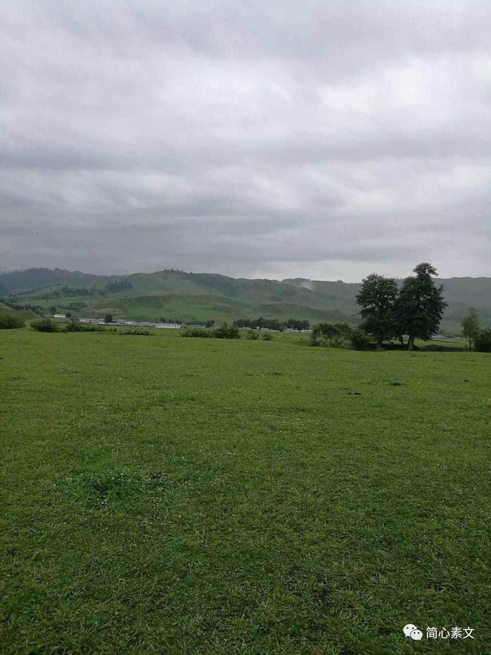 山区牧场体验牧羊人生活的独特韵味