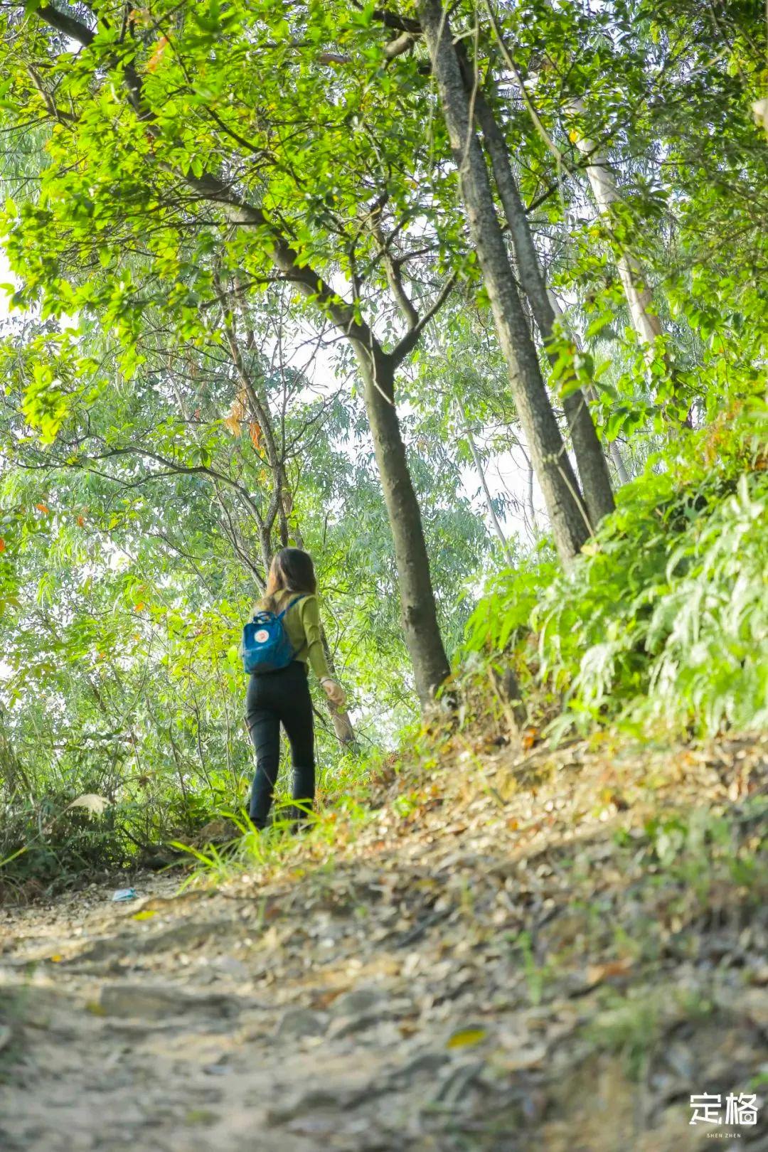 山间小道漫步，诗意浸润的湿润之旅