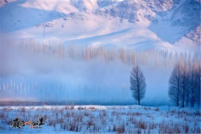 碧湖映雪山与森林的倒影