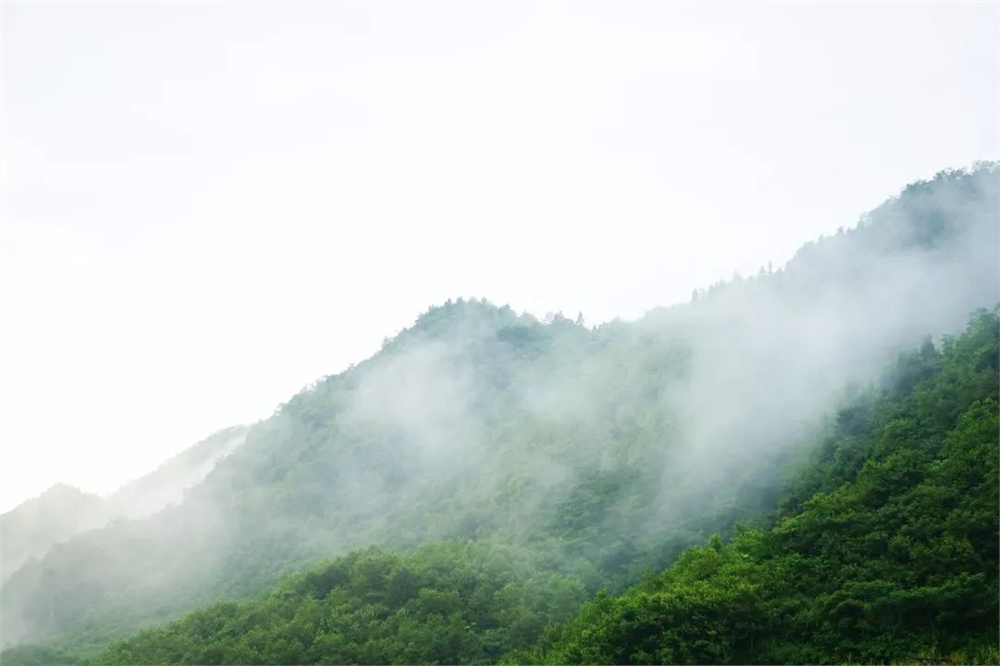 清晨山间薄雾弥漫的诗意画卷