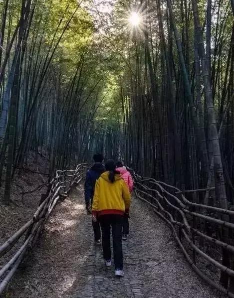 乡间古道上的岁月回忆漫步之旅